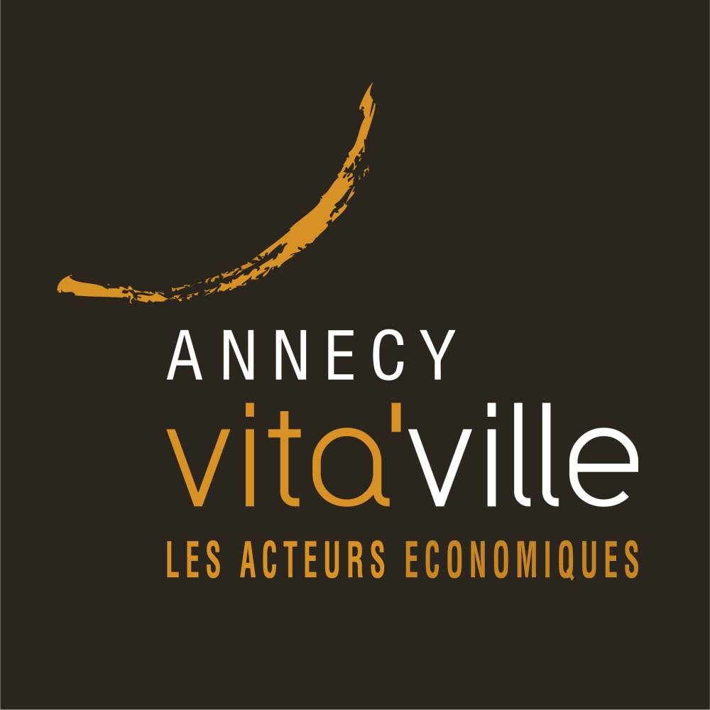 Logo VitaVille