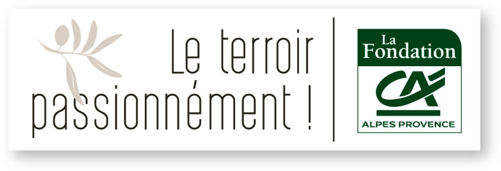 Logo Fondation Terroir 2019